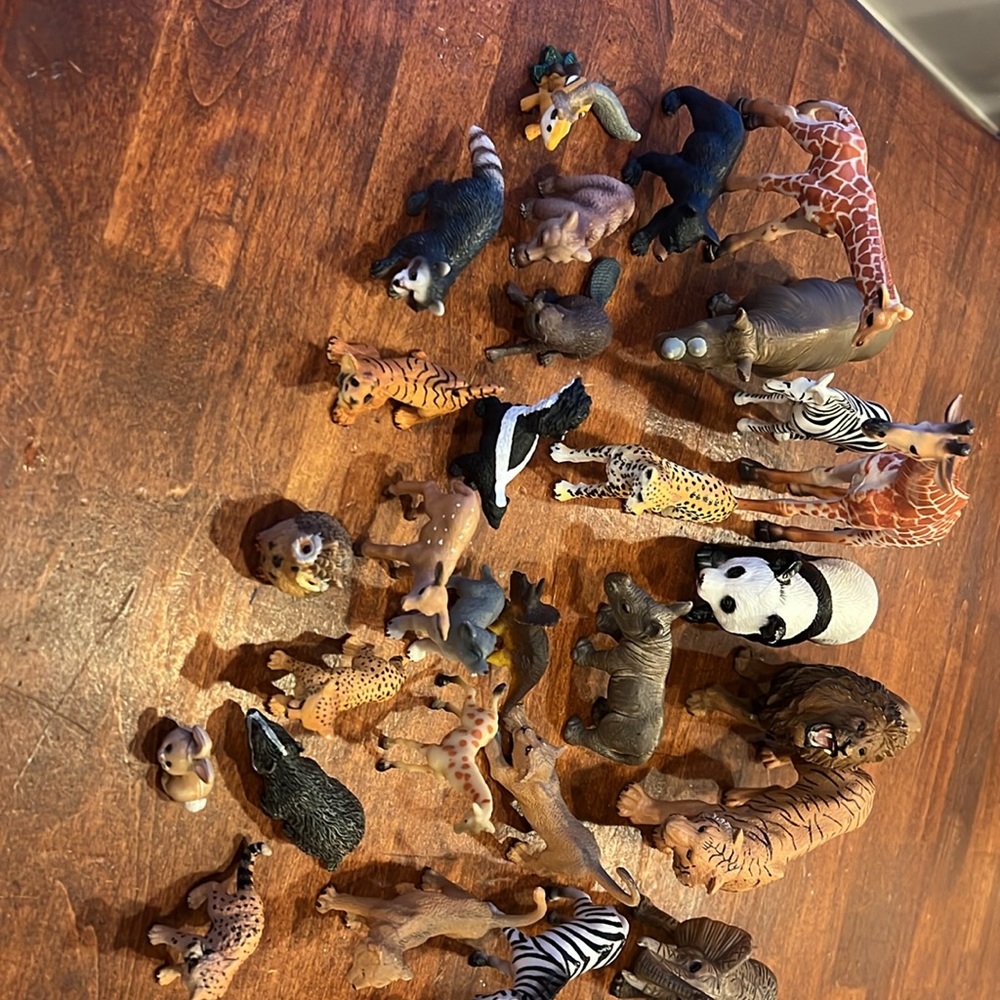 play animals - Picture 6 of 6